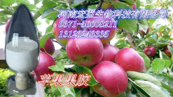 苹果果胶哪里有卖（苹果果胶哪里有卖的）-第2张图片-厨房小当家