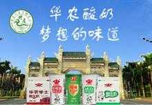 华农酸奶的优点和缺点,华农酸奶怎么样加盟的-第1张图片-厨房小当家 华农酸奶的优点和缺点,华农酸奶怎么样加盟的-第1张图片-厨房小当家