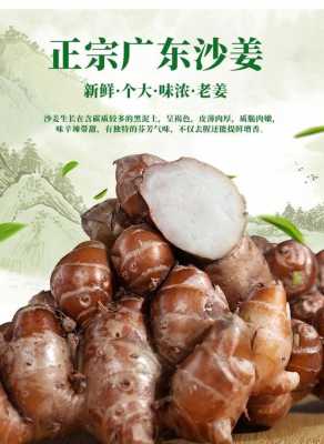 沙姜是哪里的特产,沙姜哪里的好吃啊-第1张图片-厨房小当家 沙姜是哪里的特产,沙姜哪里的好吃啊-第1张图片-厨房小当家