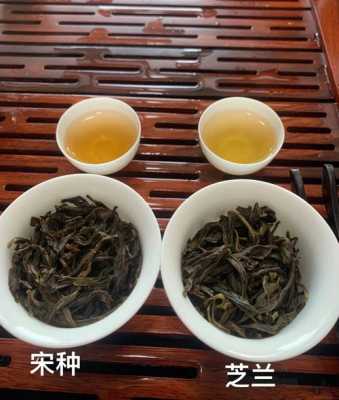因味茶生意怎么样(单丛为什么一股茉莉花味)-第3张图片-厨房小当家 因味茶生意怎么样(单丛为什么一股茉莉花味)-第3张图片-厨房小当家