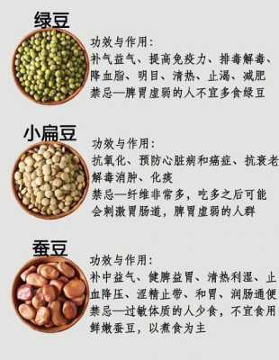健康豆在哪里看(健康豆是啥)-第2张图片-厨房小当家 健康豆在哪里看(健康豆是啥)-第2张图片-厨房小当家