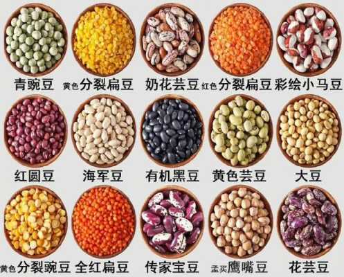 健康豆在哪里看(健康豆是啥)-第3张图片-厨房小当家 健康豆在哪里看(健康豆是啥)-第3张图片-厨房小当家