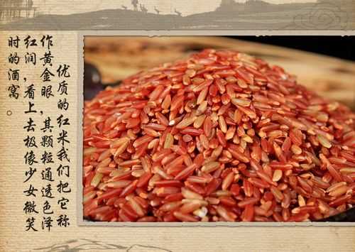 哪里的红米好吃(哪里的红米好吃又便宜)-第3张图片-厨房小当家 哪里的红米好吃(哪里的红米好吃又便宜)-第3张图片-厨房小当家