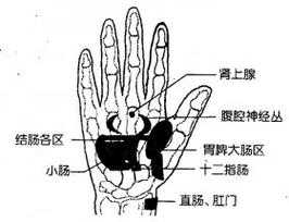 结肠炎按摩哪里(结肠炎按摩哪里最有效)-第3张图片-厨房小当家 结肠炎按摩哪里(结肠炎按摩哪里最有效)-第3张图片-厨房小当家