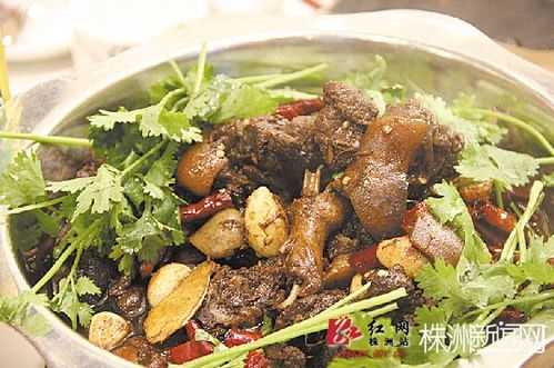 长沙哪里的狗肉好吃(湖南那城市最多狗肉卖)-第1张图片-厨房小当家 长沙哪里的狗肉好吃(湖南那城市最多狗肉卖)-第1张图片-厨房小当家