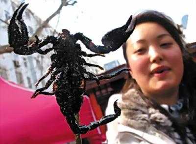 油炸蝎子哪里有卖(油炸蝎子哪里有卖的)-第1张图片-厨房小当家 油炸蝎子哪里有卖(油炸蝎子哪里有卖的)-第1张图片-厨房小当家