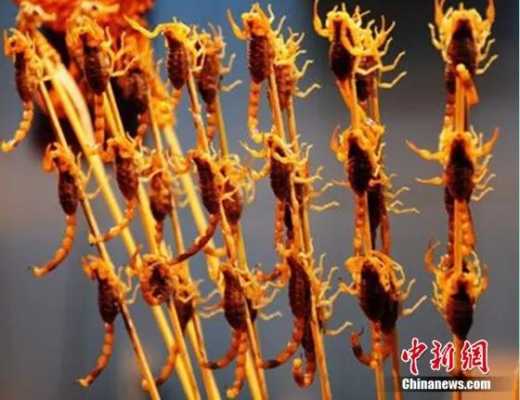 油炸蝎子哪里有卖(油炸蝎子哪里有卖的)-第2张图片-厨房小当家 油炸蝎子哪里有卖(油炸蝎子哪里有卖的)-第2张图片-厨房小当家