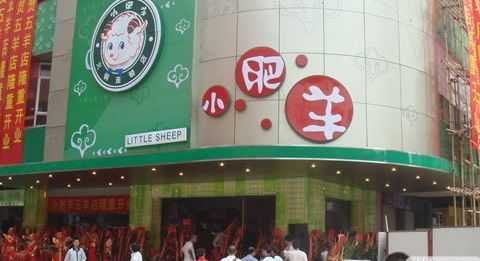 养绵羊20只一年利润,小肥羊加盟利润怎么样啊-第3张图片-厨房小当家