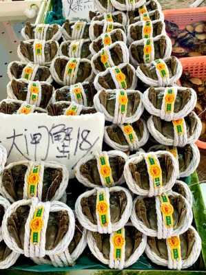 南沙吃海鲜哪里好(南沙吃海鲜哪里好吃点)-第3张图片-厨房小当家 南沙吃海鲜哪里好(南沙吃海鲜哪里好吃点)-第3张图片-厨房小当家