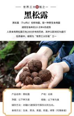 松露哪里的最好(松露哪里的最好吃)-第1张图片-厨房小当家 松露哪里的最好(松露哪里的最好吃)-第1张图片-厨房小当家