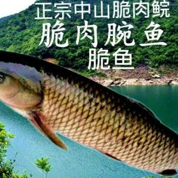 广州市哪有脆皖鱼买,脆脘的由来-第1张图片-厨房小当家 广州市哪有脆皖鱼买,脆脘的由来-第1张图片-厨房小当家