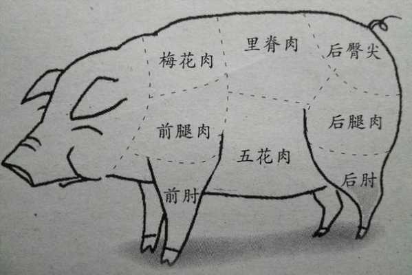 罗汉肉在猪的身上哪个部位,罗汉肉是哪里的肉啊-第3张图片-厨房小当家 罗汉肉在猪的身上哪个部位,罗汉肉是哪里的肉啊-第3张图片-厨房小当家
