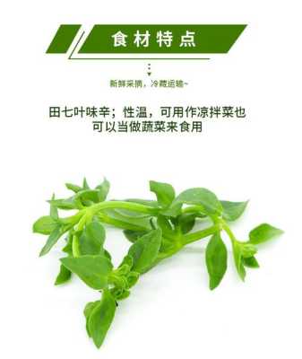 穿心莲菜是哪里的(田七菜与穿心莲有区别吗)-第2张图片-厨房小当家 穿心莲菜是哪里的(田七菜与穿心莲有区别吗)-第2张图片-厨房小当家