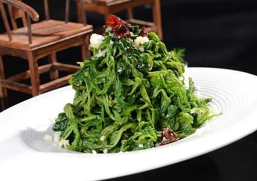 桑叶菜哪里有卖的（桑叶菜的食用方法）-第1张图片-厨房小当家