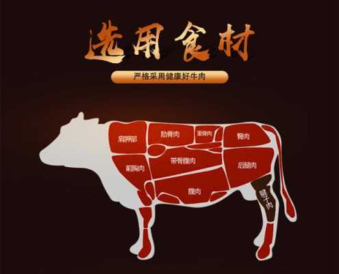 牛肘瓜是哪个部位,牛肘子是牛的哪一部位-第2张图片-厨房小当家 牛肘瓜是哪个部位,牛肘子是牛的哪一部位-第2张图片-厨房小当家