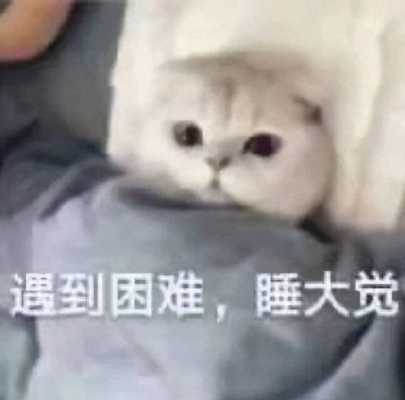 京剧猫青萱是谁,加盟猫师妹怎么样啊赚钱-第3张图片-厨房小当家 京剧猫青萱是谁,加盟猫师妹怎么样啊赚钱-第3张图片-厨房小当家