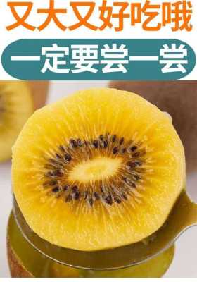 哪里的奇异果好吃(黄心猕猴桃哪个产地的好吃)-第1张图片-厨房小当家 哪里的奇异果好吃(黄心猕猴桃哪个产地的好吃)-第1张图片-厨房小当家