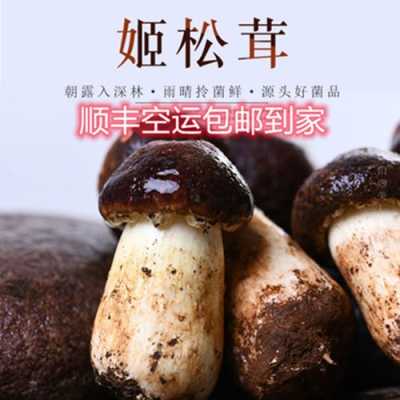 姬松茸产地,哪里的姬松茸最好-第2张图片-厨房小当家 姬松茸产地,哪里的姬松茸最好-第2张图片-厨房小当家