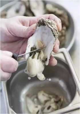 牡蛎哪里能吃(牡蛎那些部位不能食用)-第2张图片-厨房小当家 牡蛎哪里能吃(牡蛎那些部位不能食用)-第2张图片-厨房小当家