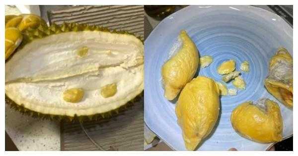 榴莲除了果肉还有哪里可以吃,榴莲哪里能吃图解-第2张图片-厨房小当家 榴莲除了果肉还有哪里可以吃,榴莲哪里能吃图解-第2张图片-厨房小当家