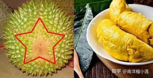 榴莲除了果肉还有哪里可以吃,榴莲哪里能吃图解-第1张图片-厨房小当家 榴莲除了果肉还有哪里可以吃,榴莲哪里能吃图解-第1张图片-厨房小当家