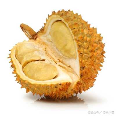 榴莲除了果肉还有哪里可以吃,榴莲哪里能吃图解-第3张图片-厨房小当家 榴莲除了果肉还有哪里可以吃,榴莲哪里能吃图解-第3张图片-厨房小当家