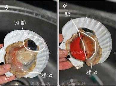 扇贝内脏怎么处理方法,扇贝内脏在哪里可以买到-第3张图片-厨房小当家 扇贝内脏怎么处理方法,扇贝内脏在哪里可以买到-第3张图片-厨房小当家