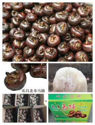 哪里的荸荠最好(马蹄品种哪个最好)-第1张图片-厨房小当家 哪里的荸荠最好(马蹄品种哪个最好)-第1张图片-厨房小当家