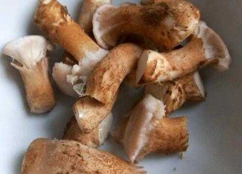 香菇根是哪里(香菇根是哪里的特产)-第2张图片-厨房小当家 香菇根是哪里(香菇根是哪里的特产)-第2张图片-厨房小当家