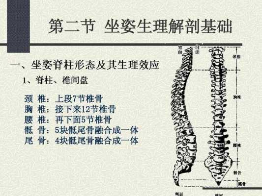 尾龙骨在哪里(尾龙骨在哪里图片)-第1张图片-厨房小当家 尾龙骨在哪里(尾龙骨在哪里图片)-第1张图片-厨房小当家