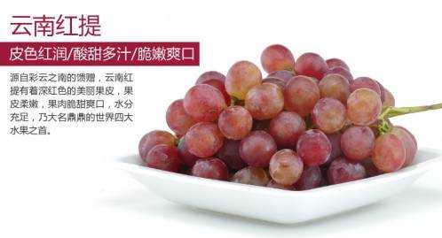 哪里的提子好吃（哪里的提子好吃又甜）-第2张图片-厨房小当家