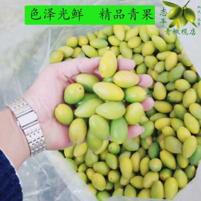 什么牌子橄榄最正宗,哪里的橄榄好吃又甜-第3张图片-厨房小当家 什么牌子橄榄最正宗,哪里的橄榄好吃又甜-第3张图片-厨房小当家