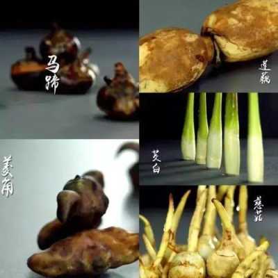 半塘五秀是什么,广州哪里有水菱角卖-第1张图片-厨房小当家