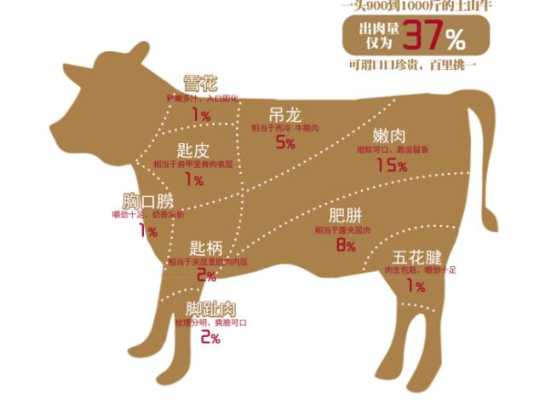 全国各省牛肉销量排名,哪里吃牛肉最多的地方-第3张图片-厨房小当家 全国各省牛肉销量排名,哪里吃牛肉最多的地方-第3张图片-厨房小当家