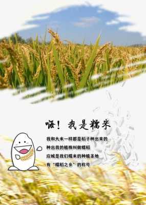 糯米从哪里来(糯米从哪里来的)-第2张图片-厨房小当家 糯米从哪里来(糯米从哪里来的)-第2张图片-厨房小当家