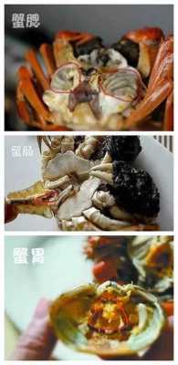螃蟹蟹肉在哪里(螃蟹蟹肉在哪里生长)-第2张图片-厨房小当家 螃蟹蟹肉在哪里(螃蟹蟹肉在哪里生长)-第2张图片-厨房小当家
