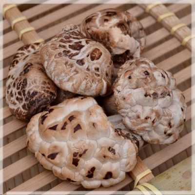花菇买哪里的(花菇买哪里的好吃)-第2张图片-厨房小当家 花菇买哪里的(花菇买哪里的好吃)-第2张图片-厨房小当家