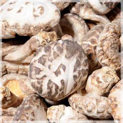 花菇买哪里的(花菇买哪里的好吃)-第3张图片-厨房小当家 花菇买哪里的(花菇买哪里的好吃)-第3张图片-厨房小当家