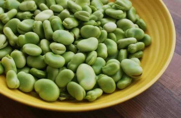 蚕豆哪里的好吃(蚕豆哪里的好吃又便宜)-第3张图片-厨房小当家 蚕豆哪里的好吃(蚕豆哪里的好吃又便宜)-第3张图片-厨房小当家