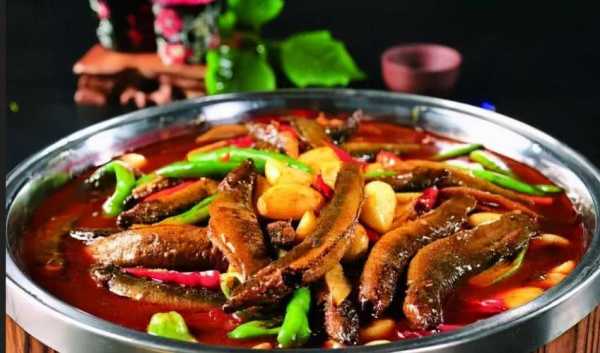 泥鳅火锅是哪里(泥鳅火锅是哪里的吃法)-第2张图片-厨房小当家 泥鳅火锅是哪里(泥鳅火锅是哪里的吃法)-第2张图片-厨房小当家