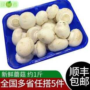 口蘑哪里有卖(口蘑哪里有卖的啊)-第3张图片-厨房小当家 口蘑哪里有卖(口蘑哪里有卖的啊)-第3张图片-厨房小当家