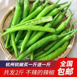 杭州有一种不辣的辣椒叫什么,杭椒是哪里产的-第2张图片-厨房小当家 杭州有一种不辣的辣椒叫什么,杭椒是哪里产的-第2张图片-厨房小当家
