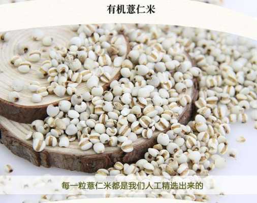 哪里产的薏米好（哪里产的薏米好?）-第3张图片-厨房小当家