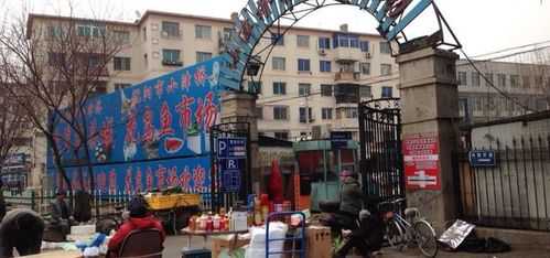 北京哪里买鱼吃(北京最大的花鸟鱼批发市场)-第3张图片-厨房小当家 北京哪里买鱼吃(北京最大的花鸟鱼批发市场)-第3张图片-厨房小当家