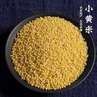 哪个地区出产的小黄米最好,大黄米哪里的好吃正宗-第2张图片-厨房小当家