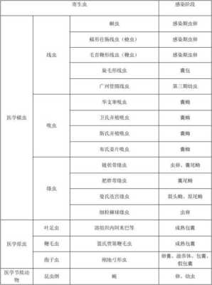 上海夏天常见虫子,上海蛔虫感染率-第2张图片-厨房小当家