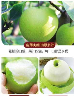 梨哪里产的好吃（梨哪里产的好吃又甜）-第2张图片-厨房小当家