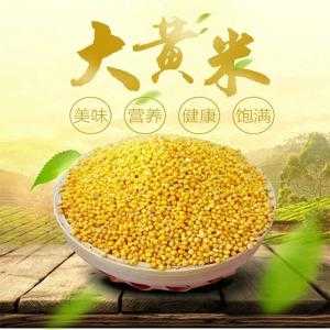哪里的大黄米好(大黄米哪个地方最好)-第1张图片-厨房小当家 哪里的大黄米好(大黄米哪个地方最好)-第1张图片-厨房小当家