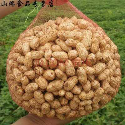 带壳花生怎么存放,哪里有带壳花生批发市场-第1张图片-厨房小当家