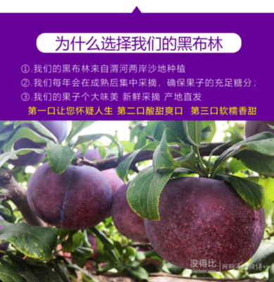 黑布林哪里的好(山东哪里下高速圣女果是绿通)-第2张图片-厨房小当家 黑布林哪里的好(山东哪里下高速圣女果是绿通)-第2张图片-厨房小当家